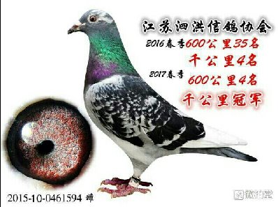 ߶루΢ãۼθè