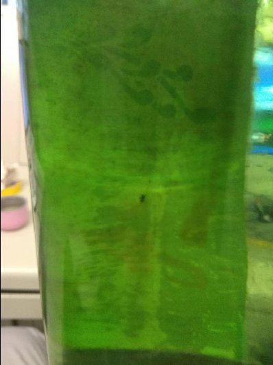 ھʵ-˿
